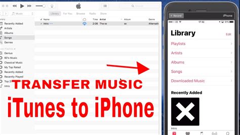 how to add music to video on iphone free: exploring the hidden gems of your device's audio library