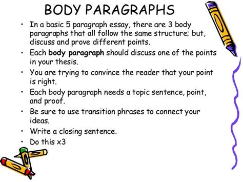 what is a body paragraph in an essay: exploring its structure and function